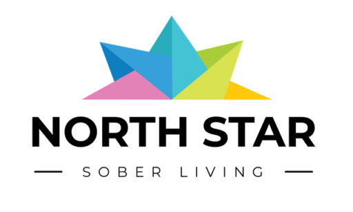 North Star logo